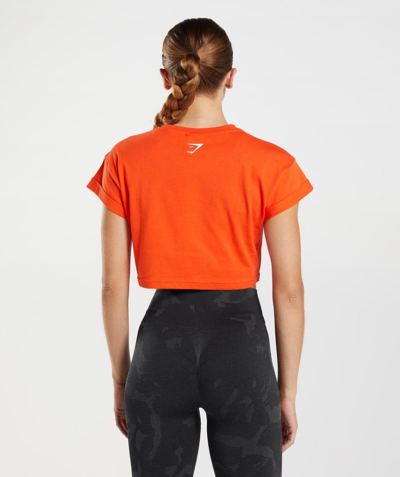 Women's Gymshark Fraction Cropped Tops Orange | CA 07A638